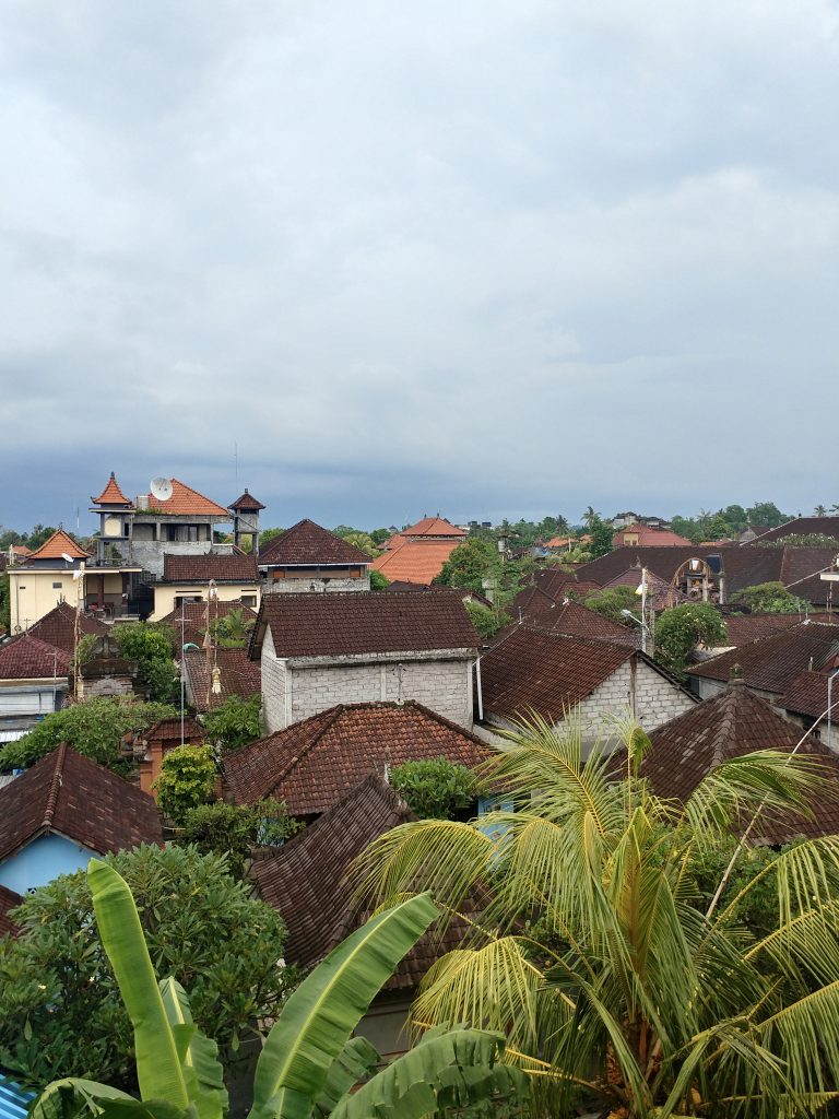 jungle town Ubud