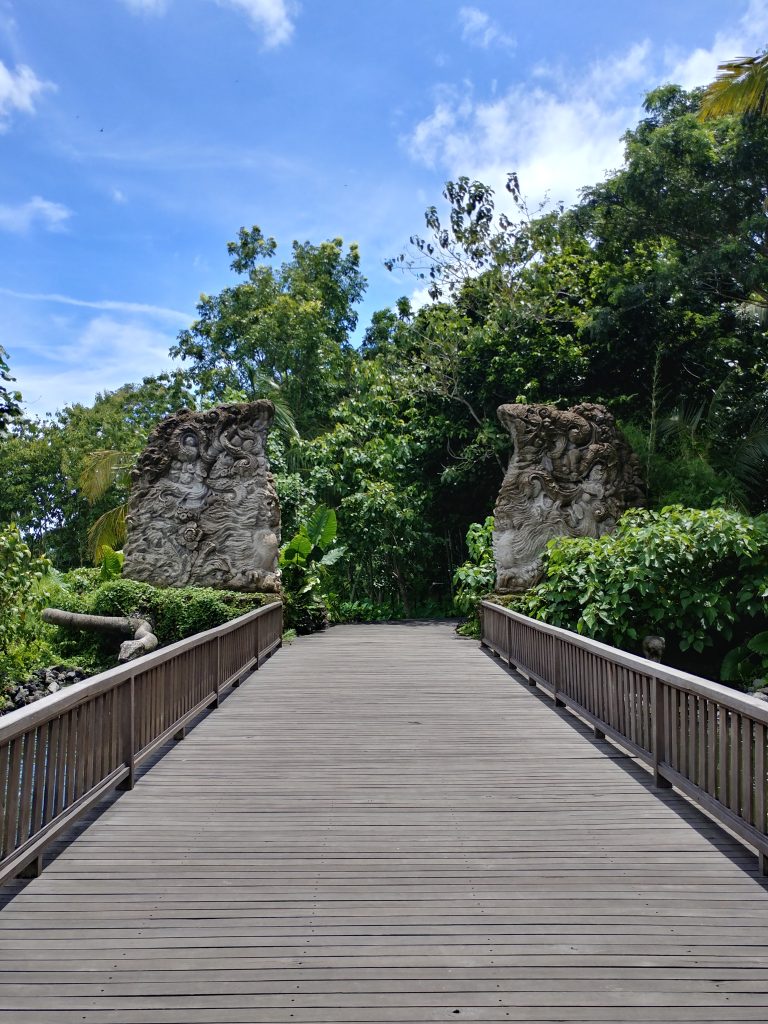 Sacred Monkey Forest Sanctuary