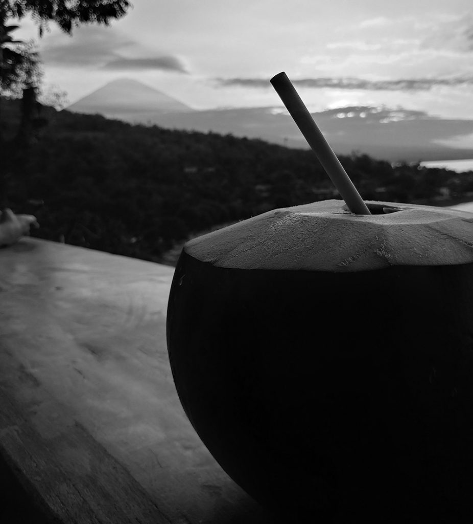 coconut ant Mt. Agung