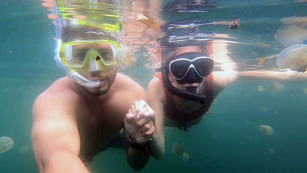 snorkeling at the jellyfish lake